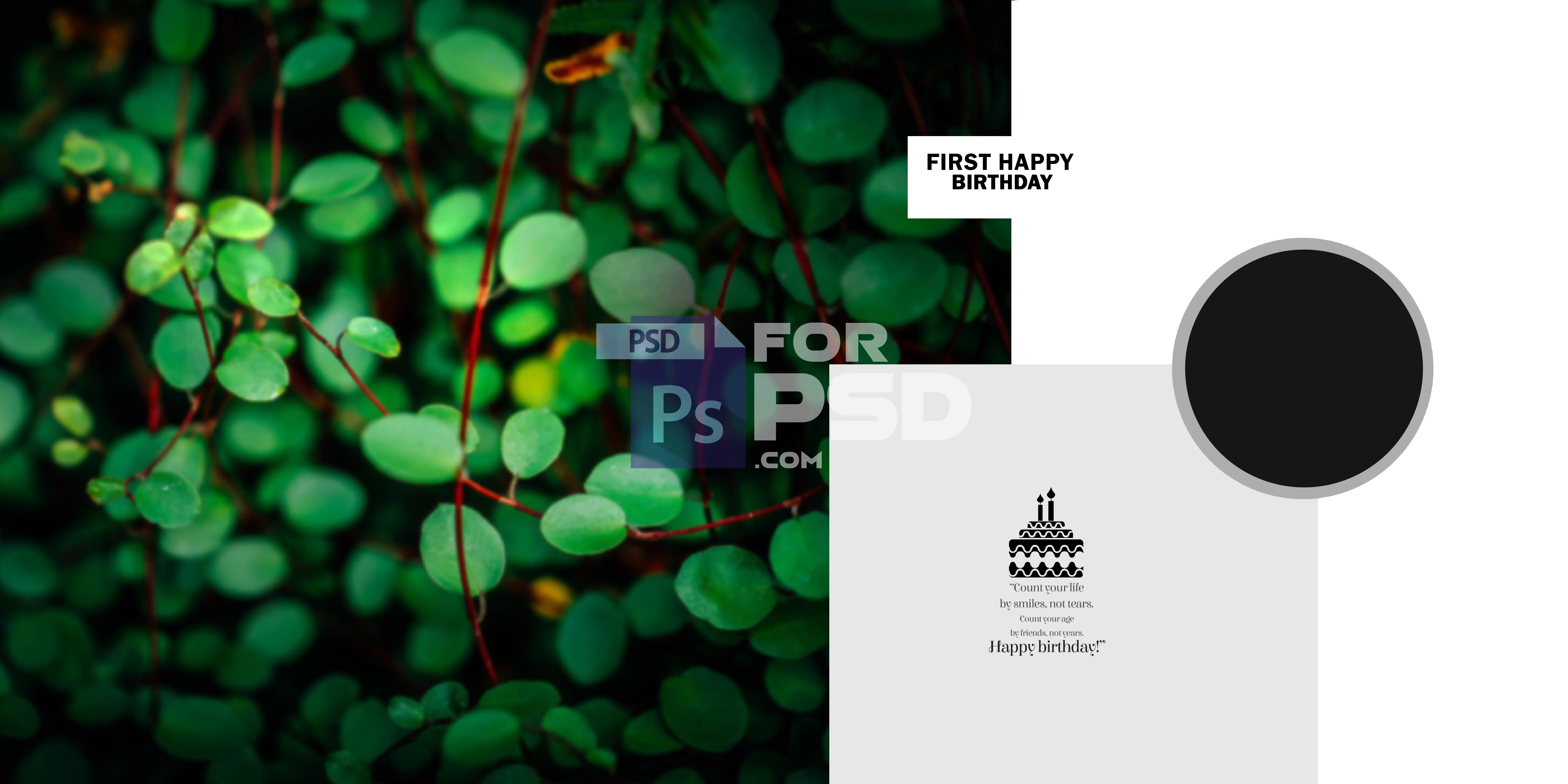 Image Preview